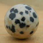 12mm Dalmation