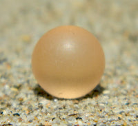 8mm SeaGlass Champagne