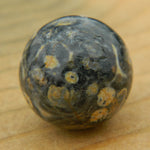 12mm Leopard Agate