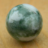 12mm Tree Agate